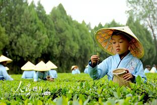 杨毅谈杨瀚森：中国球员年龄造假的黑历史让美国球探很谨慎